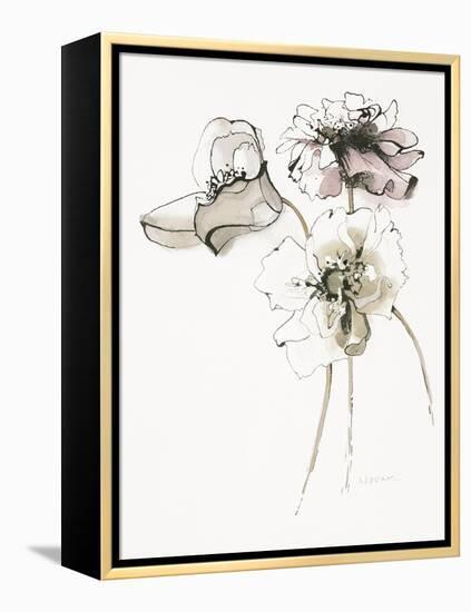 Three Somniferums Poppies Neutral-Shirley Novak-Framed Stretched Canvas