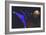 Three Spaceships from Earth Travel to a Planet Near the Crab Nebula-null-Framed Premium Giclee Print