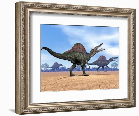 Three Spinosaurus Dinosaurs Walking in the Desert-null-Framed Premium Giclee Print