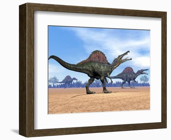 Three Spinosaurus Dinosaurs Walking in the Desert-null-Framed Premium Giclee Print