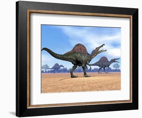 Three Spinosaurus Dinosaurs Walking in the Desert-null-Framed Premium Giclee Print