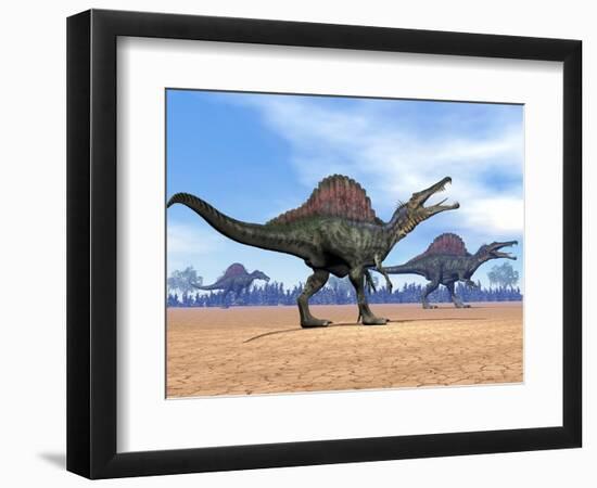 Three Spinosaurus Dinosaurs Walking in the Desert-null-Framed Premium Giclee Print