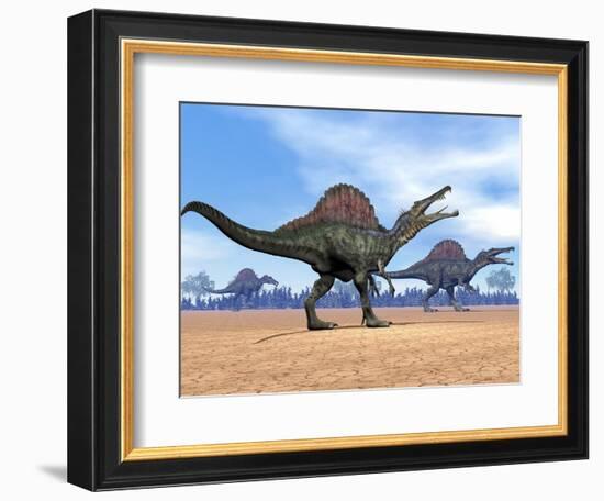 Three Spinosaurus Dinosaurs Walking in the Desert-null-Framed Premium Giclee Print