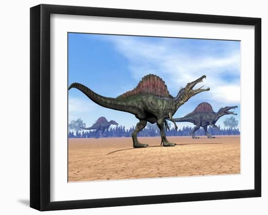 Three Spinosaurus Dinosaurs Walking in the Desert-null-Framed Art Print