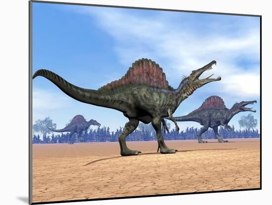 Three Spinosaurus Dinosaurs Walking in the Desert-null-Mounted Art Print