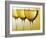 Three Stemmed Gasses of White Wine-Steve Lupton-Framed Photographic Print