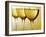 Three Stemmed Gasses of White Wine-Steve Lupton-Framed Photographic Print