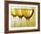 Three Stemmed Gasses of White Wine-Steve Lupton-Framed Photographic Print