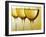 Three Stemmed Gasses of White Wine-Steve Lupton-Framed Photographic Print