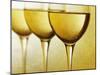 Three Stemmed Gasses of White Wine-Steve Lupton-Mounted Photographic Print