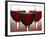 Three Stemmed Glasses of Red Wine-Steve Lupton-Framed Photographic Print