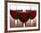 Three Stemmed Glasses of Red Wine-Steve Lupton-Framed Photographic Print