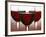 Three Stemmed Glasses of Red Wine-Steve Lupton-Framed Photographic Print