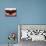 Three Stemmed Glasses of Red Wine-Steve Lupton-Mounted Photographic Print displayed on a wall