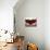 Three Stemmed Glasses of Red Wine-Steve Lupton-Mounted Photographic Print displayed on a wall