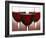 Three Stemmed Glasses of Red Wine-Steve Lupton-Framed Photographic Print