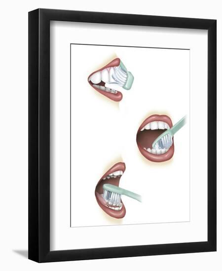 Art Print, , large