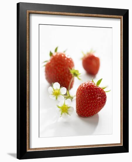 Three Strawberries-Klaus Arras-Framed Photographic Print