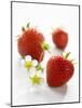 Three Strawberries-Klaus Arras-Mounted Photographic Print