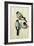 Three Studies of a Bullfinch-Albrecht Dürer-Framed Giclee Print