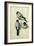 Three Studies of a Bullfinch-Albrecht Dürer-Framed Giclee Print