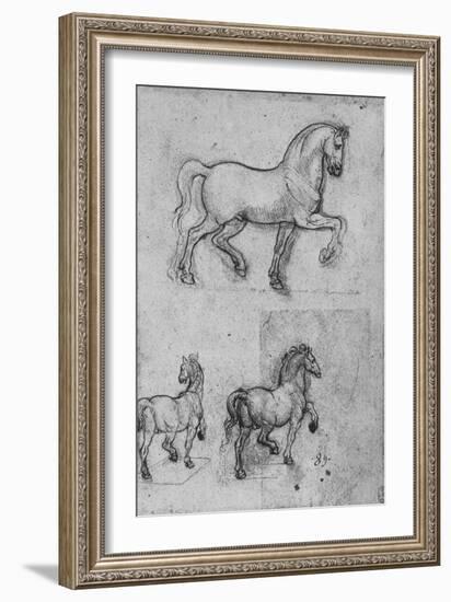 'Three Studies of Horses', c1480 (1945)-Leonardo Da Vinci-Framed Giclee Print