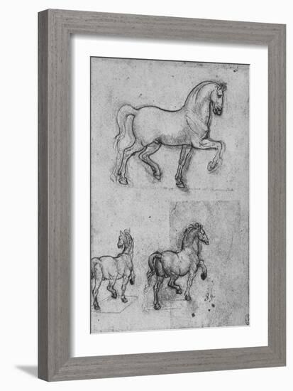 'Three Studies of Horses', c1480 (1945)-Leonardo Da Vinci-Framed Giclee Print