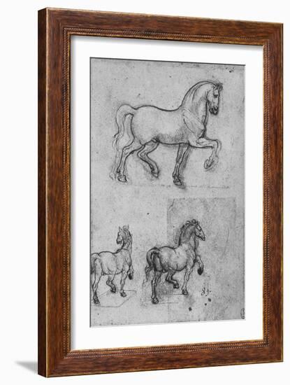 'Three Studies of Horses', c1480 (1945)-Leonardo Da Vinci-Framed Giclee Print