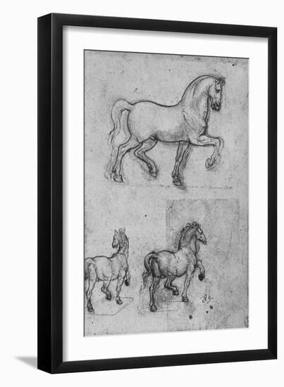 'Three Studies of Horses', c1480 (1945)-Leonardo Da Vinci-Framed Giclee Print