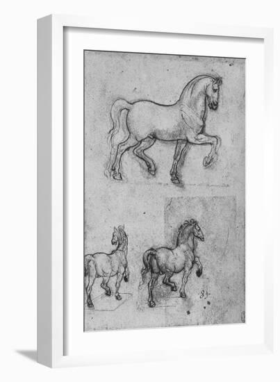 'Three Studies of Horses', c1480 (1945)-Leonardo Da Vinci-Framed Giclee Print