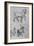 'Three Studies of Horses', c1480 (1945)-Leonardo Da Vinci-Framed Giclee Print