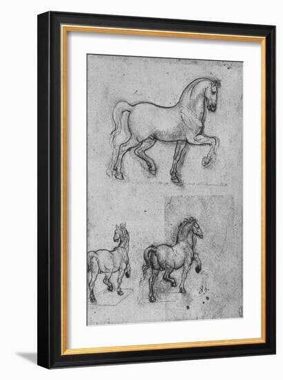 'Three Studies of Horses', c1480 (1945)-Leonardo Da Vinci-Framed Giclee Print