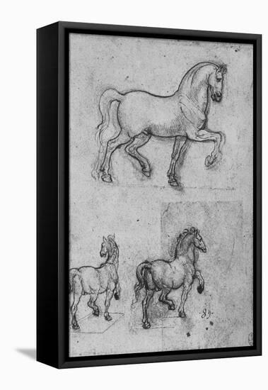 'Three Studies of Horses', c1480 (1945)-Leonardo Da Vinci-Framed Premier Image Canvas