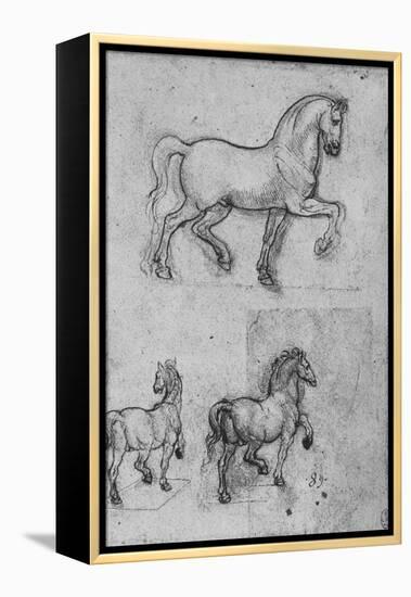 'Three Studies of Horses', c1480 (1945)-Leonardo Da Vinci-Framed Premier Image Canvas