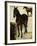 Three Studies of Horses-Eugene Delacroix-Framed Giclee Print