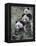 Three Subadult Giant Pandas Feeding on Bamboo Wolong Nature Reserve, China-Eric Baccega-Framed Premier Image Canvas