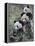 Three Subadult Giant Pandas Feeding on Bamboo Wolong Nature Reserve, China-Eric Baccega-Framed Premier Image Canvas