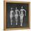 Three Sun Bathers Soaking Up Rays-Allan Grant-Framed Premier Image Canvas