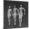 Three Sun Bathers Soaking Up Rays-Allan Grant-Mounted Photographic Print