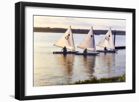 Three Sunfish I-Alan Hausenflock-Framed Photographic Print