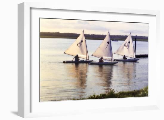 Three Sunfish I-Alan Hausenflock-Framed Photographic Print