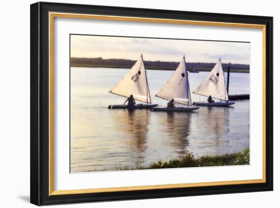 Three Sunfish I-Alan Hausenflock-Framed Photographic Print