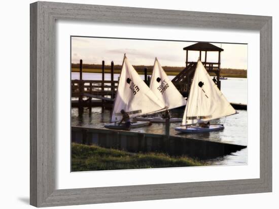 Three Sunfish II-Alan Hausenflock-Framed Photographic Print