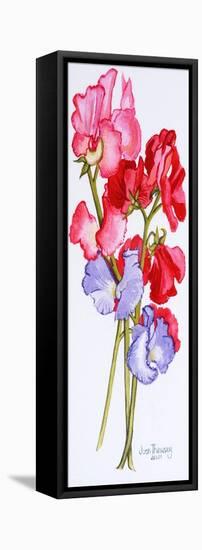 Three Sweet Peas 2011-Joan Thewsey-Framed Premier Image Canvas