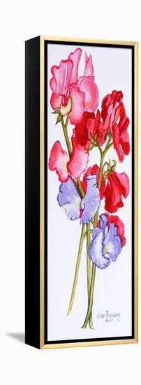 Three Sweet Peas 2011-Joan Thewsey-Framed Premier Image Canvas