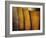 Three Tall Beers-Steve Lupton-Framed Photographic Print