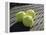 Three Tennis Balls-null-Framed Premier Image Canvas