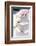 Three Tier Cake with Pink Roses-chughes-Framed Photographic Print