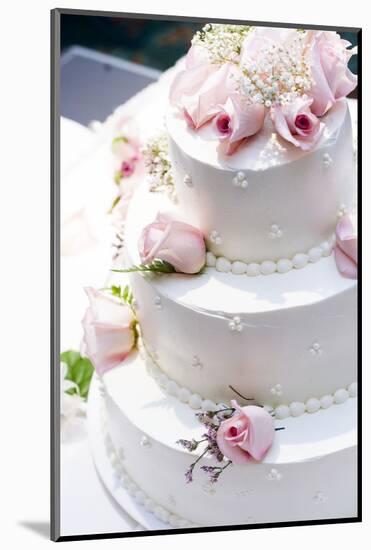 Three Tier Cake with Pink Roses-chughes-Mounted Photographic Print