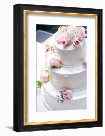 Three Tier Cake with Pink Roses-chughes-Framed Photographic Print